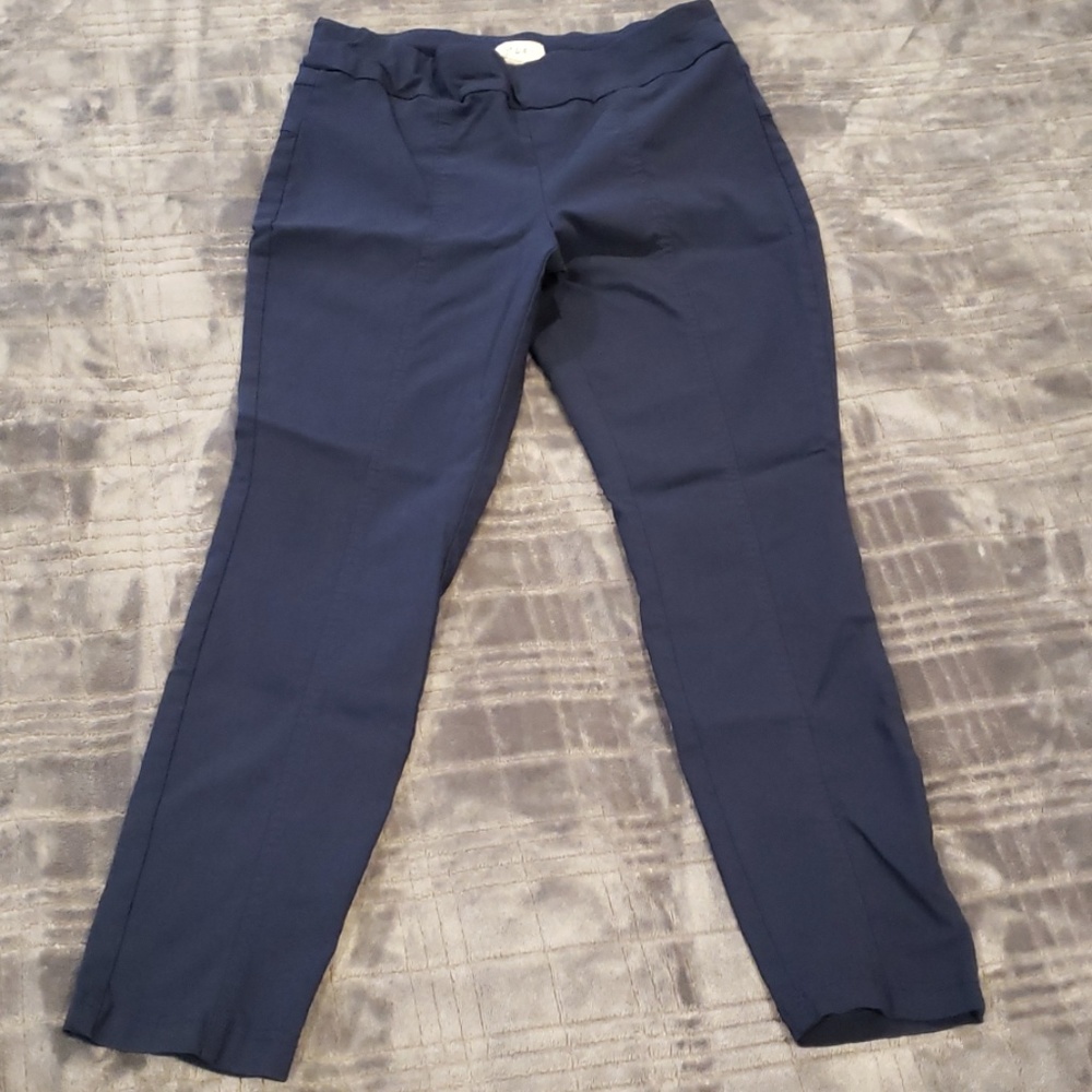 Style & Co. Navy Capri